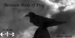 banner-between-birds-of-prey